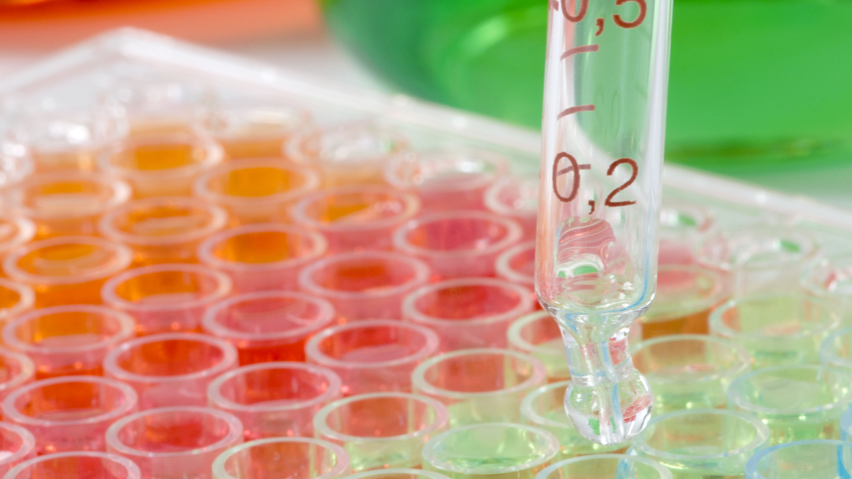 Laboratory
